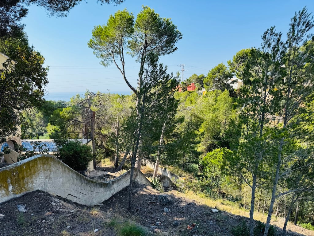 Property view