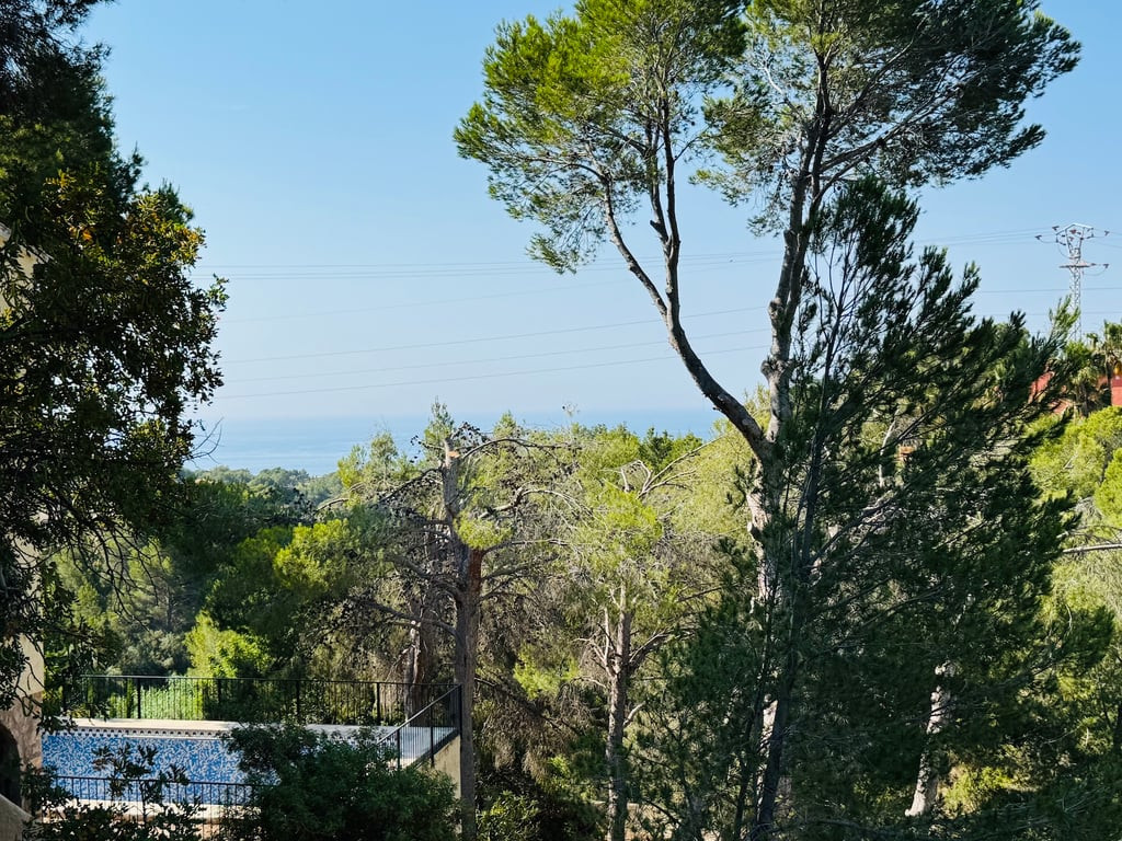 Property view