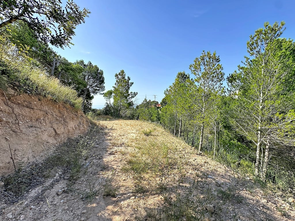 Property main view 8