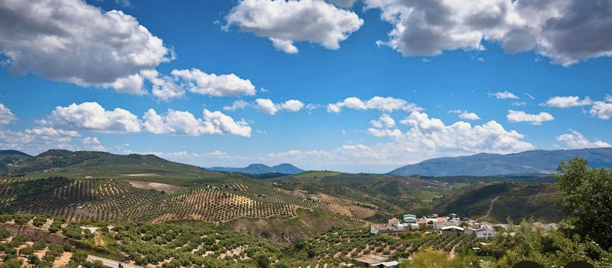 Residentiele Percelen in Antequera-2