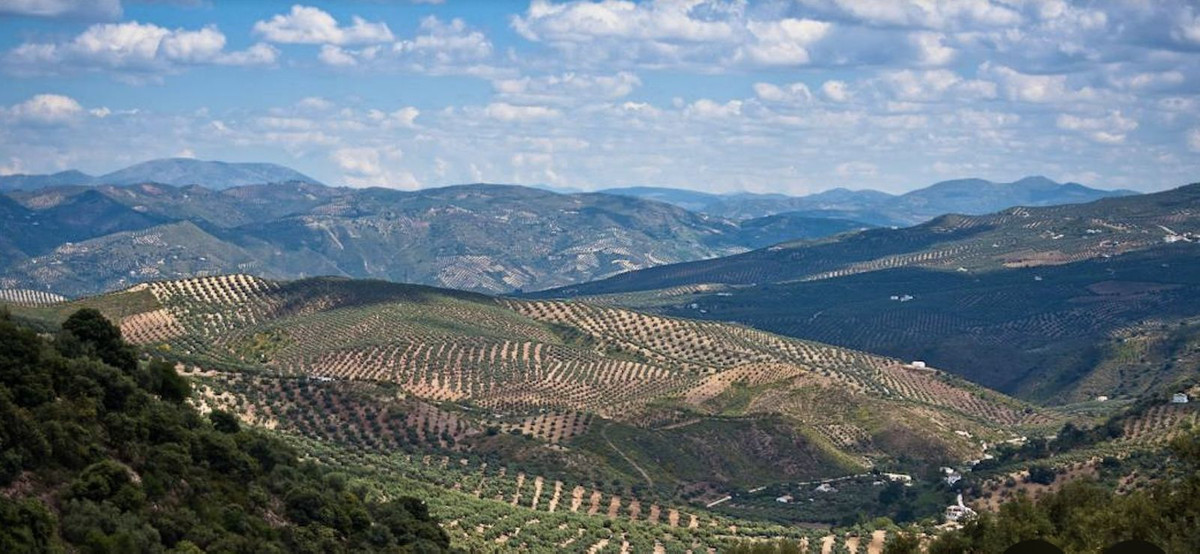 Residentiele Percelen in Antequera-12