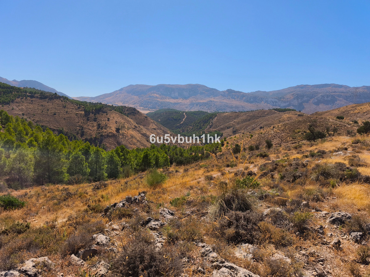 Property main view 2