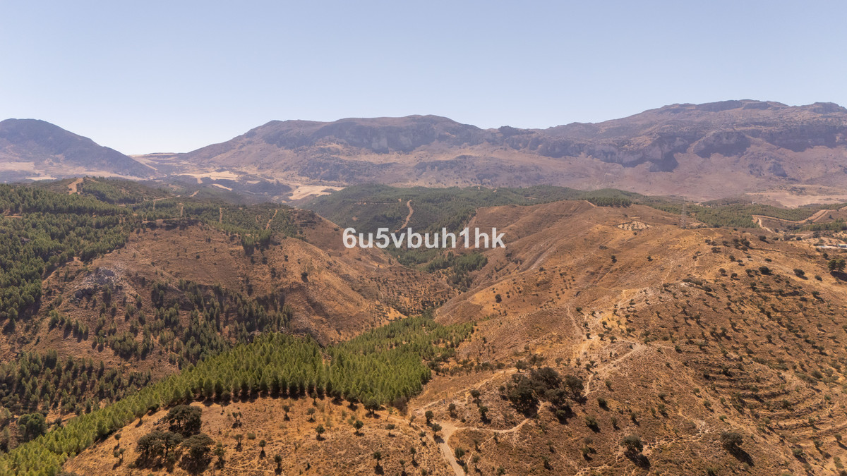 Property main view 5