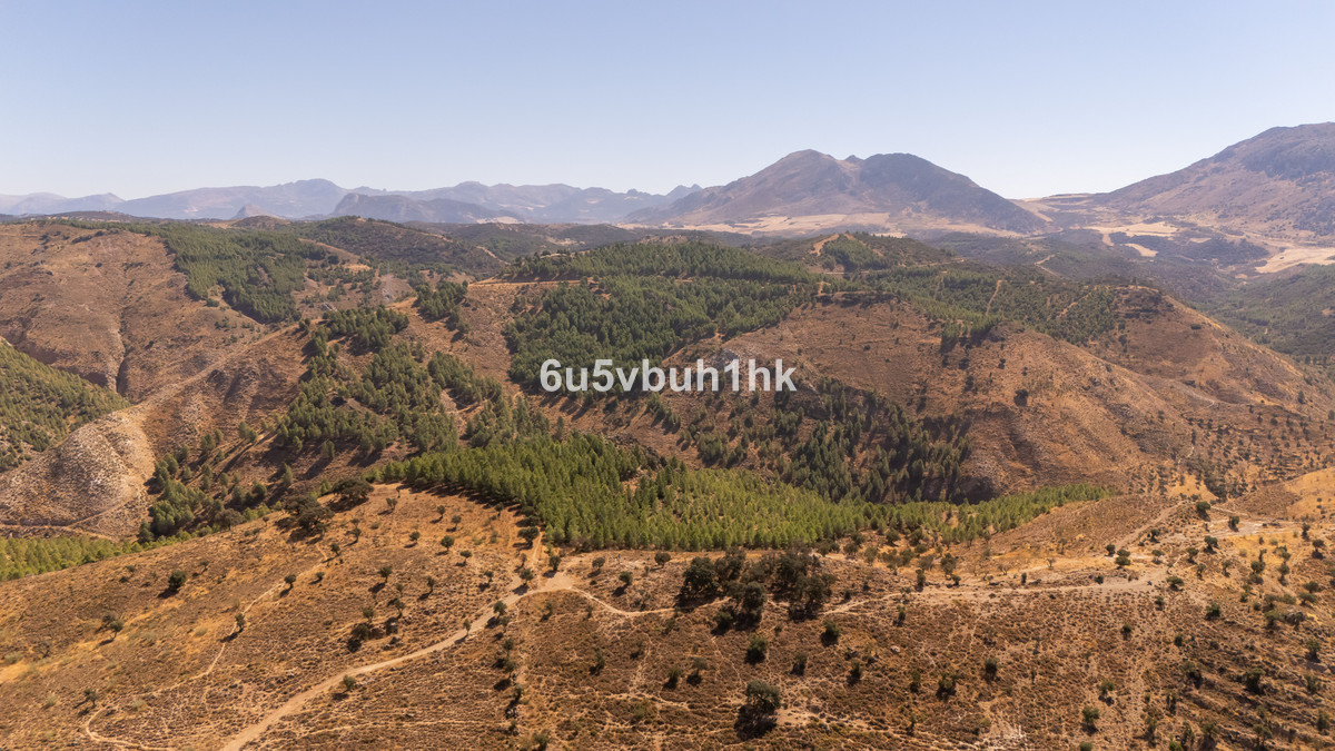 Property main view 6