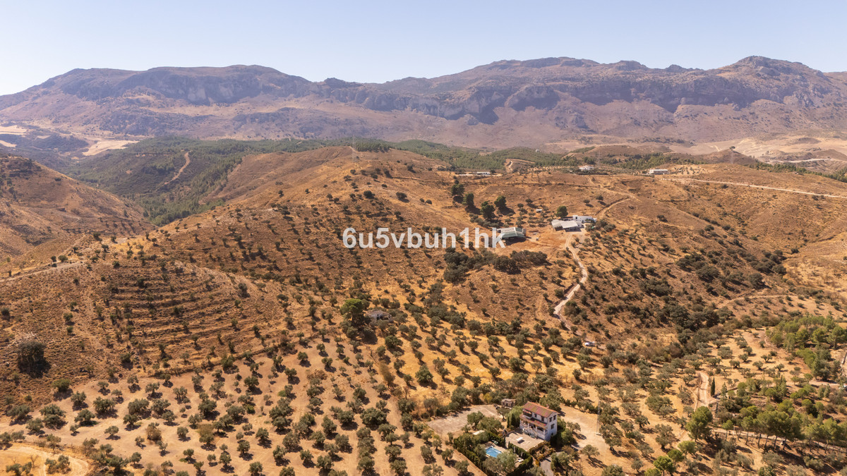 Property main view 8