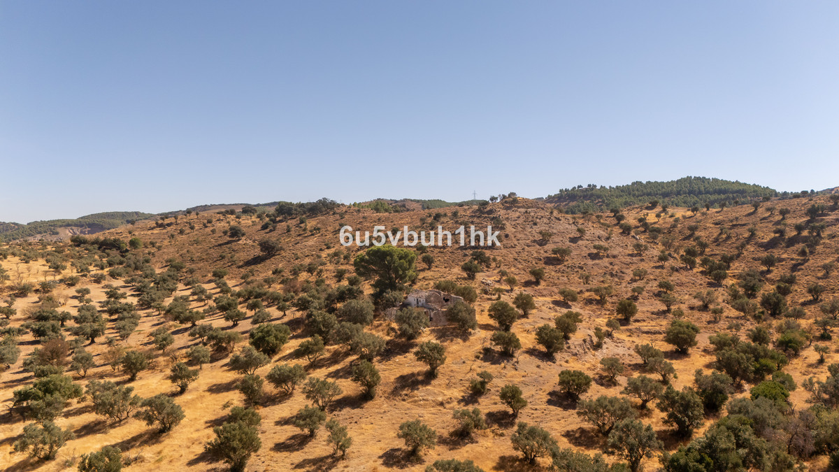 Property main view 9