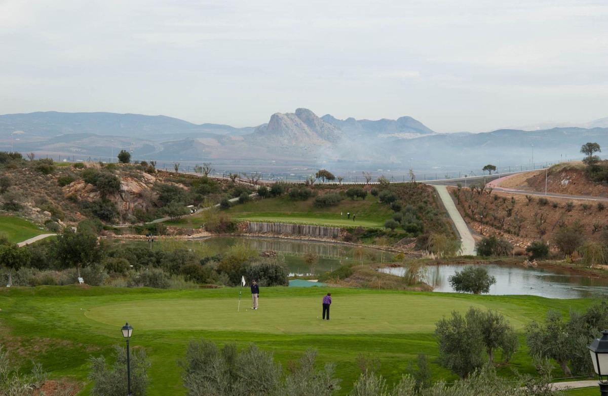 Percelen te koop in Antequera | 0 slaapkamers H5198269