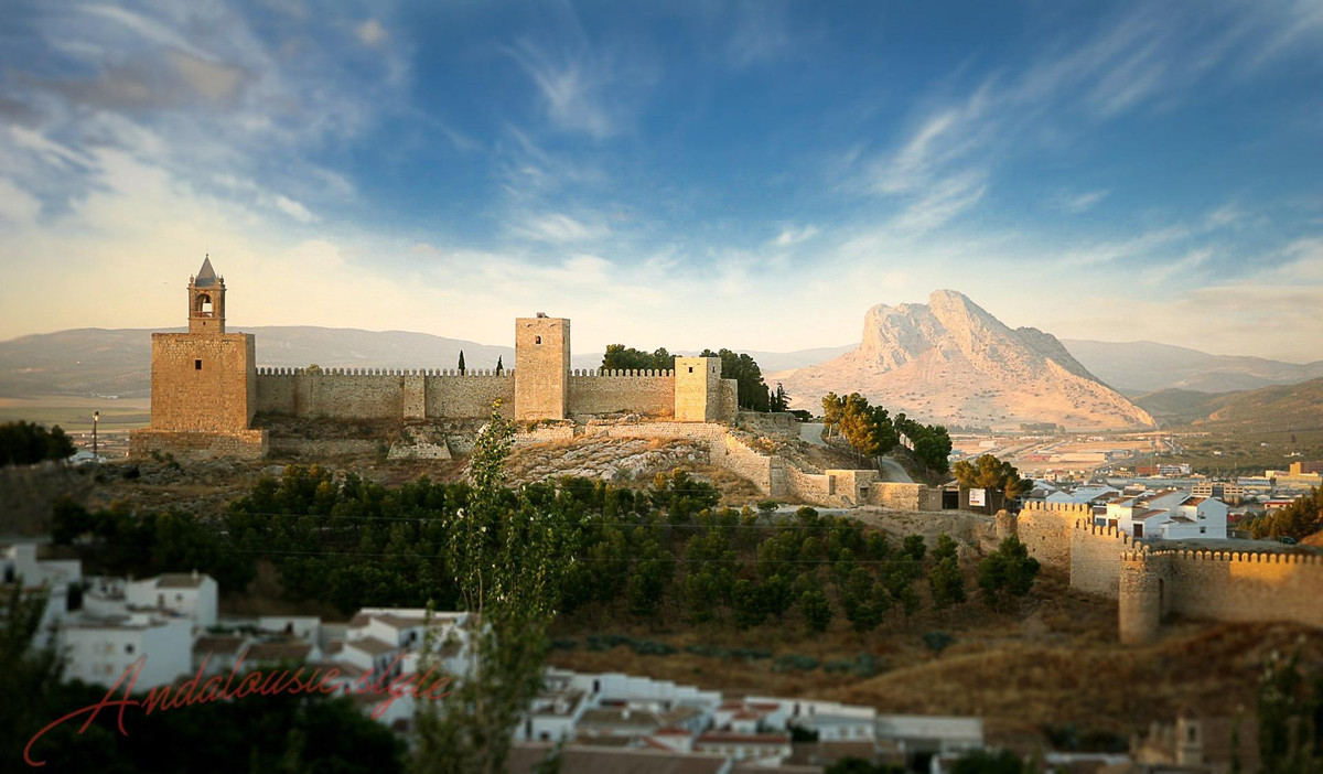 Percelen te koop in Antequera | 0 slaapkamers H5198269