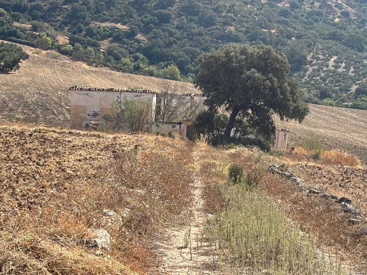 Property main view 11
