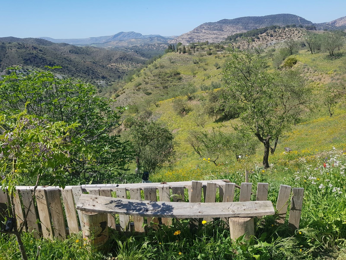 Grond te koop in Ardales | 0 slaapkamers H5163757