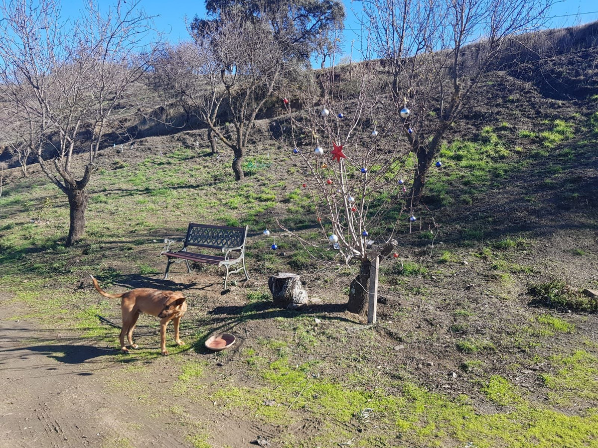 Grond te koop in Ardales | 0 slaapkamers H5163757