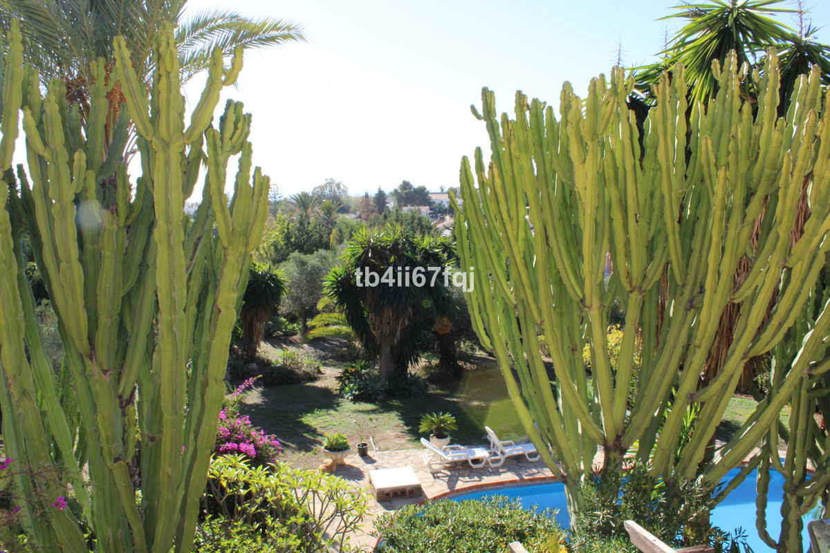 Grond te koop in Atalaya | 7 slaapkamers H3670745