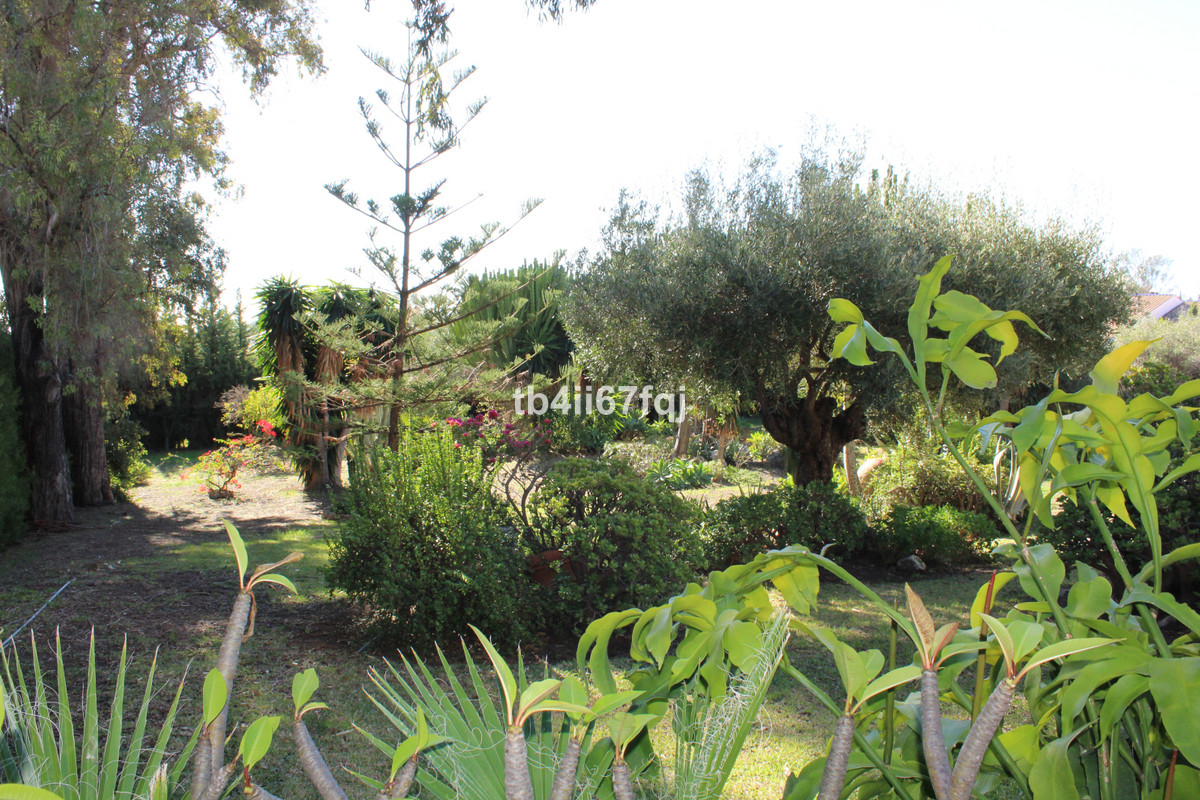 Grond te koop in Atalaya | 7 slaapkamers H3670745