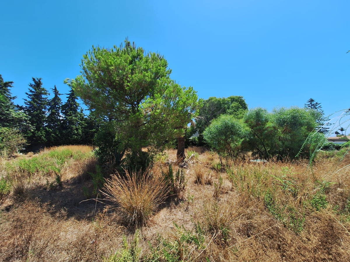 Percelen te koop in Atalaya | 0 slaapkamers H5120911