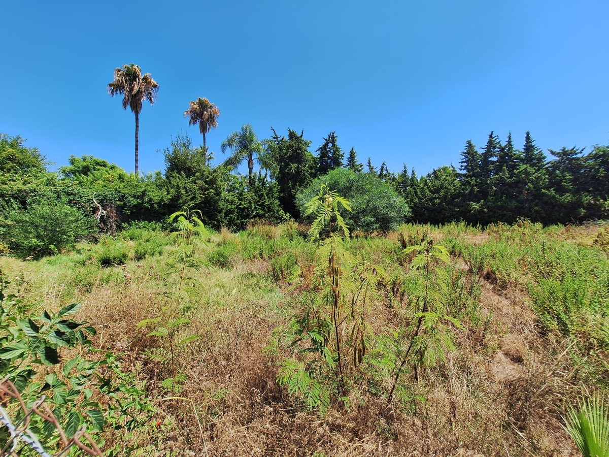 Percelen te koop in Atalaya | 0 slaapkamers H5120911