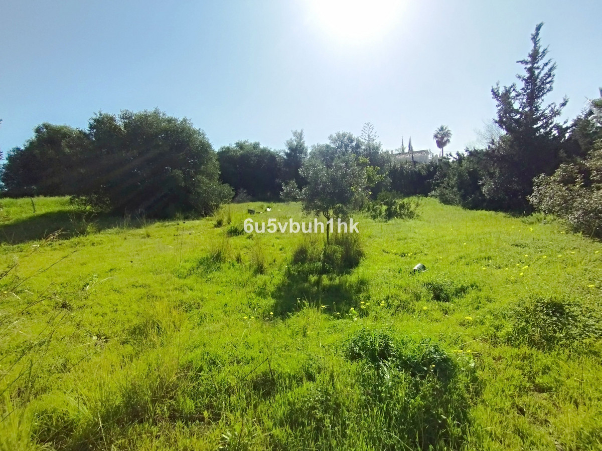 Property main view 15