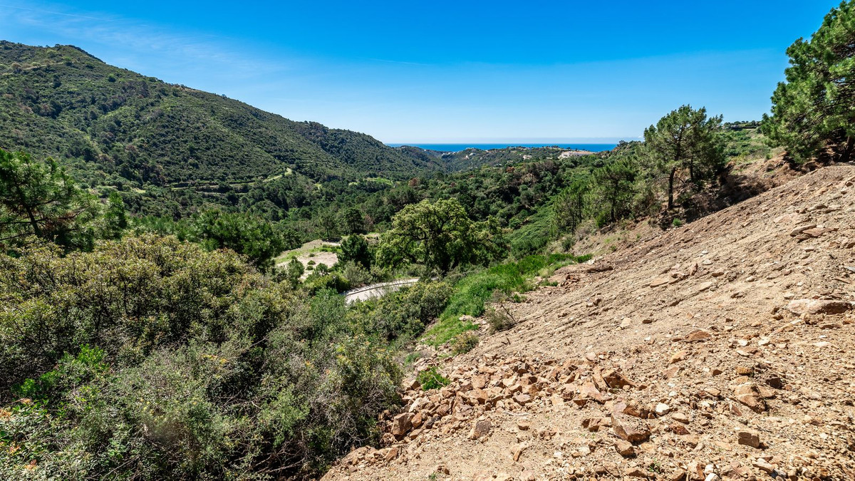 Residentiele Percelen in Benahavís-7