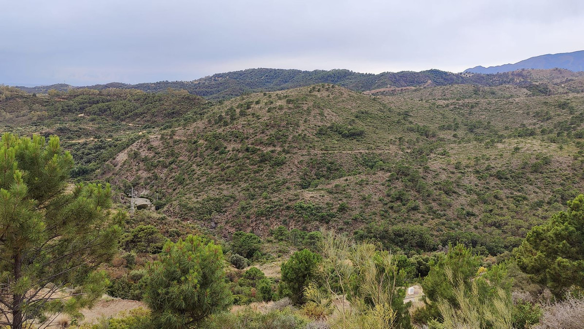 Property main view 11