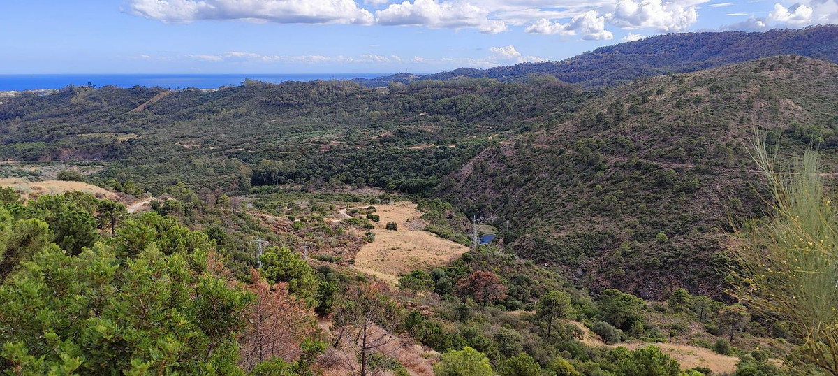 Property main view 15