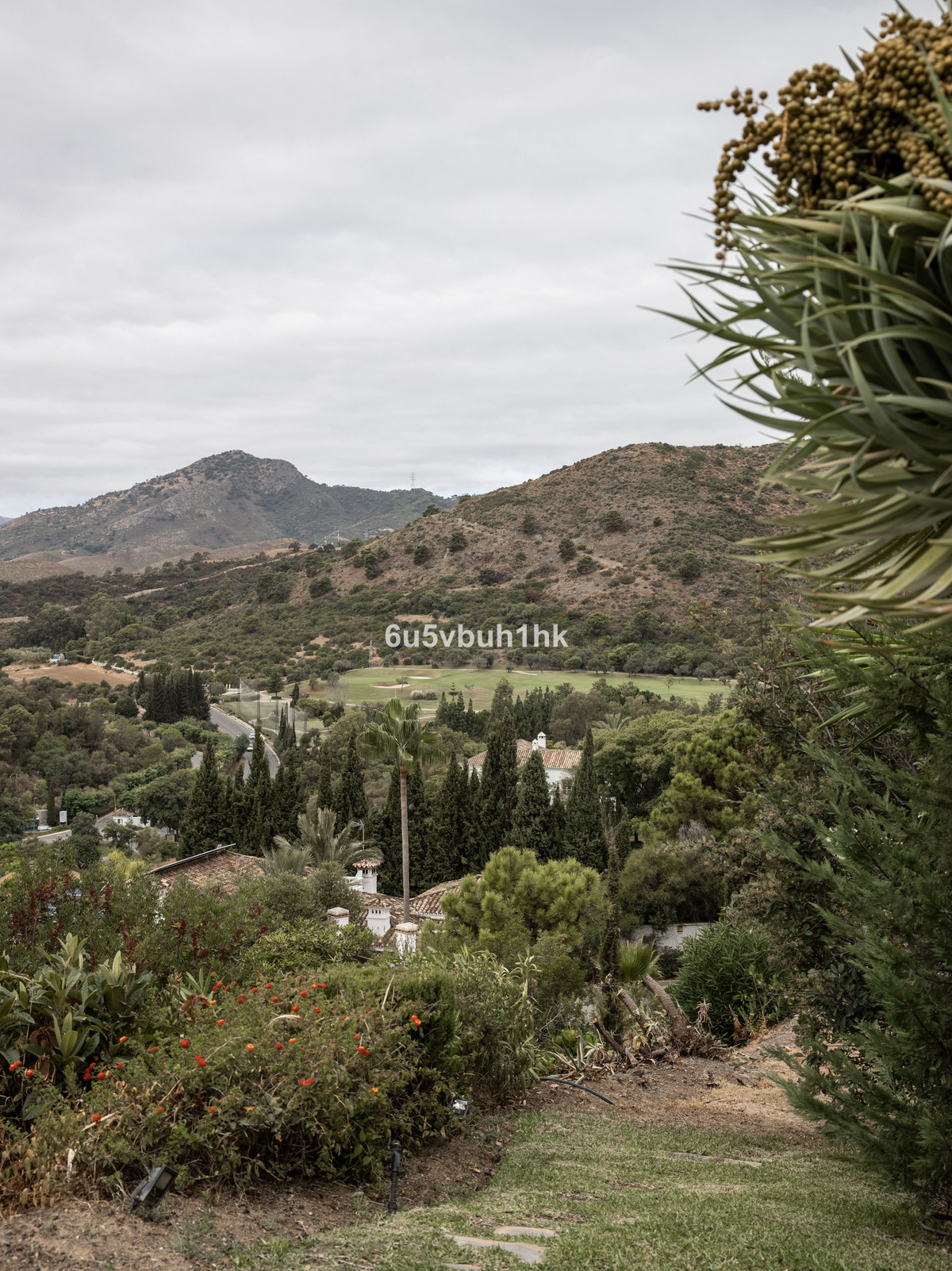 Property main view 11