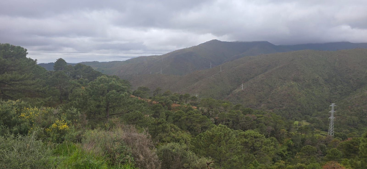 Land for sale in Benahavís | 0 bedrooms H4974601
