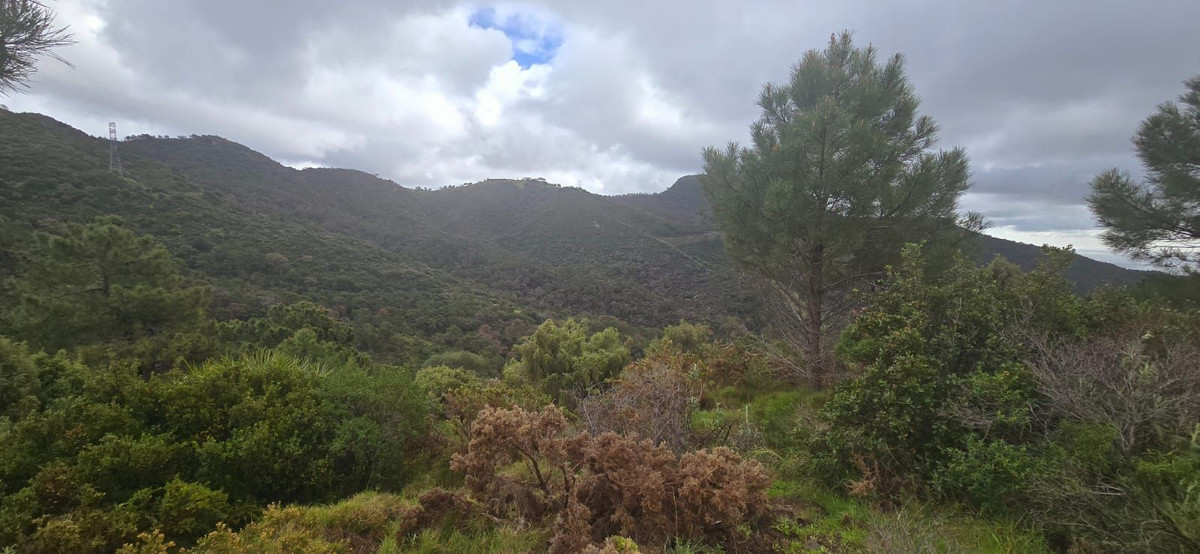 Land for sale in Benahavís | 0 bedrooms H4974601