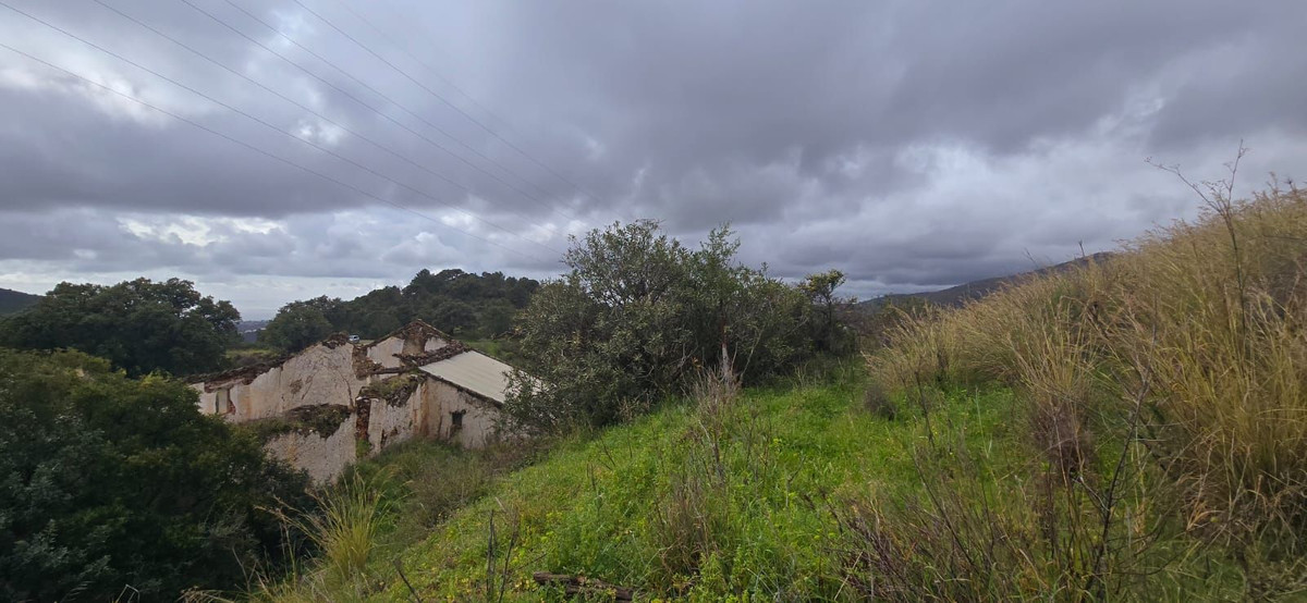 Land for sale in Benahavís | 0 bedrooms H4974601