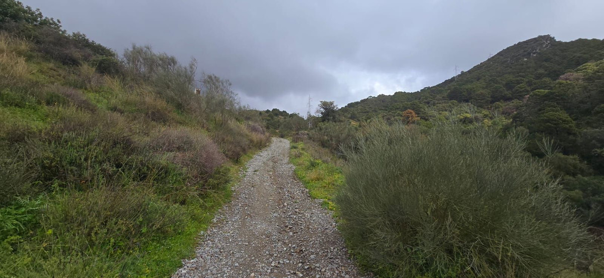 Land for sale in Benahavís | 0 bedrooms H4974601