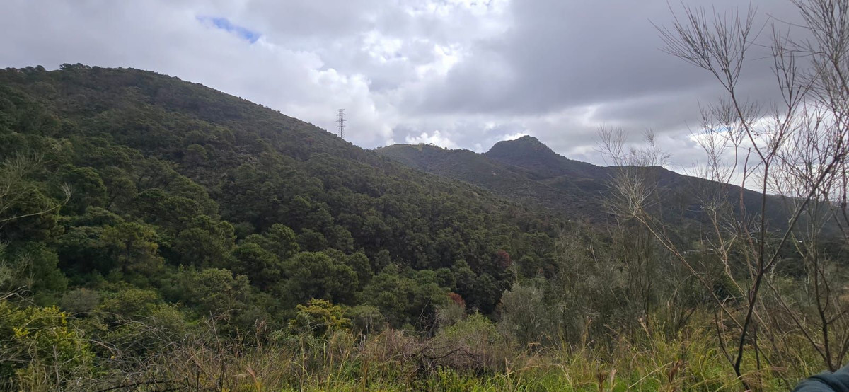 Land for sale in Benahavís | 0 bedrooms H4974601