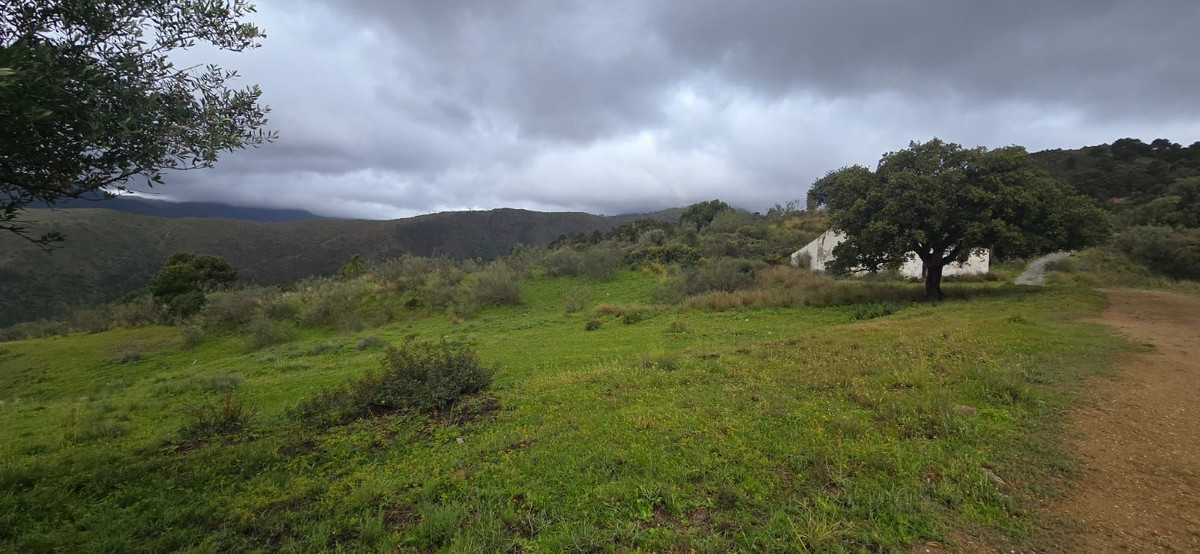 Land for sale in Benahavís | 0 bedrooms H4974601