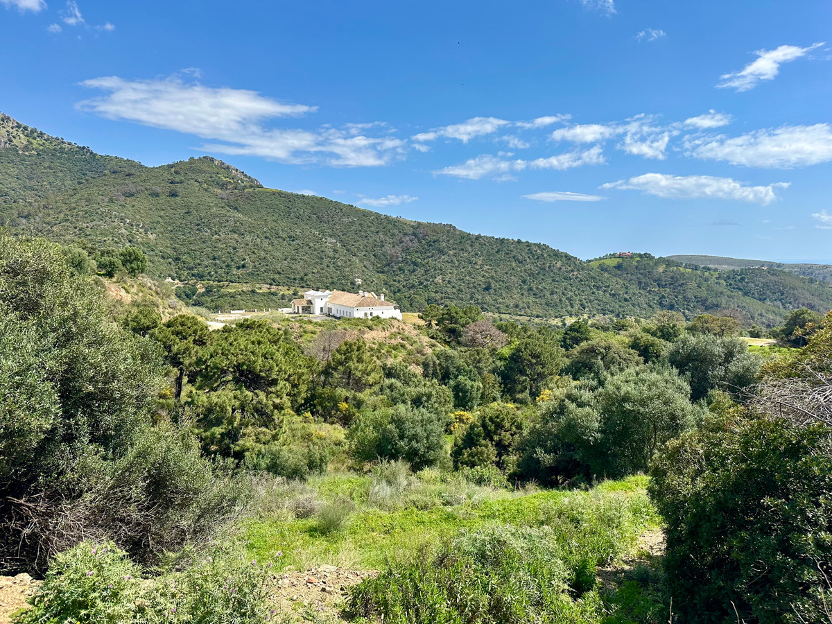 Property main view 13