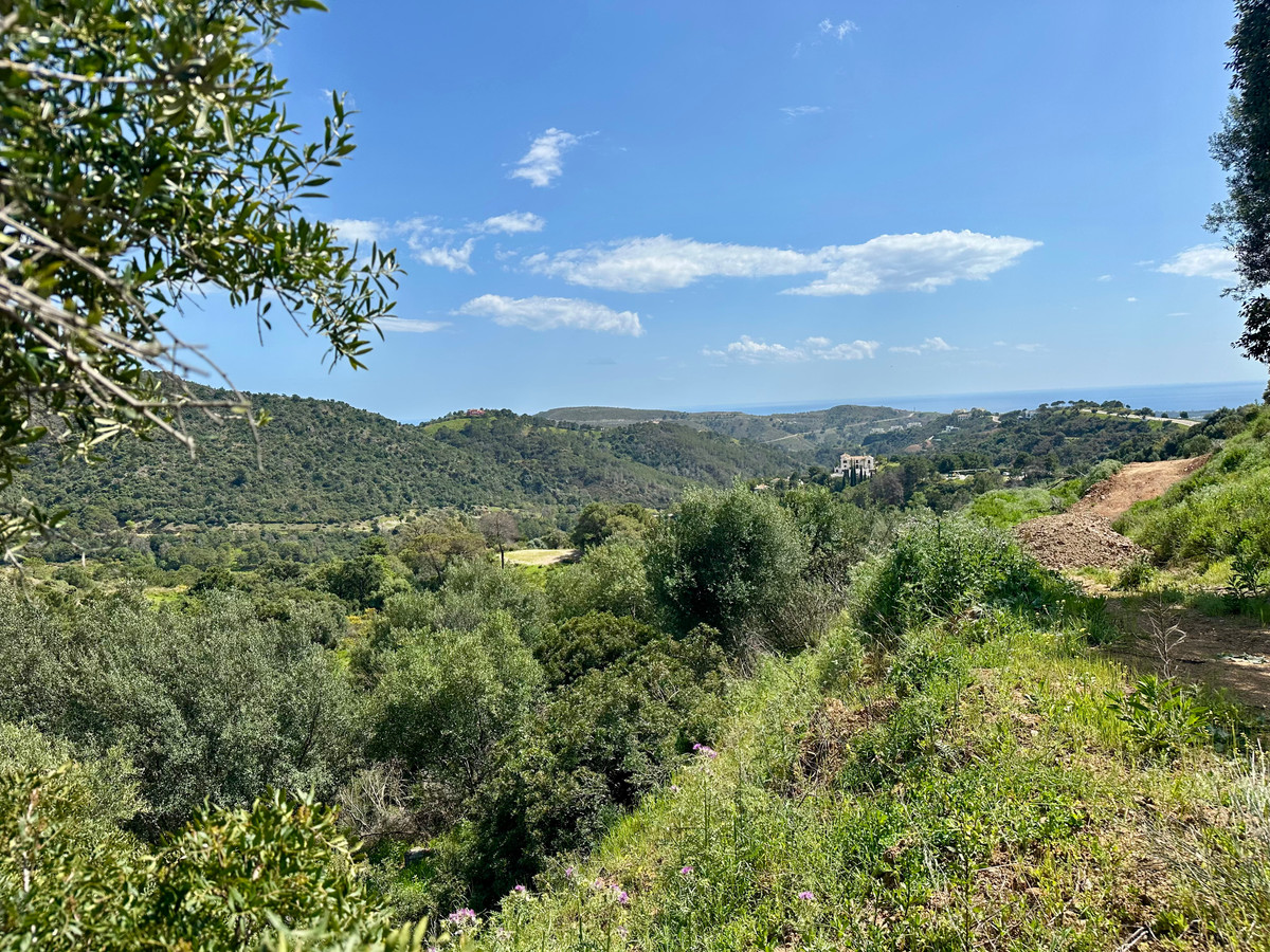 Property main view 15