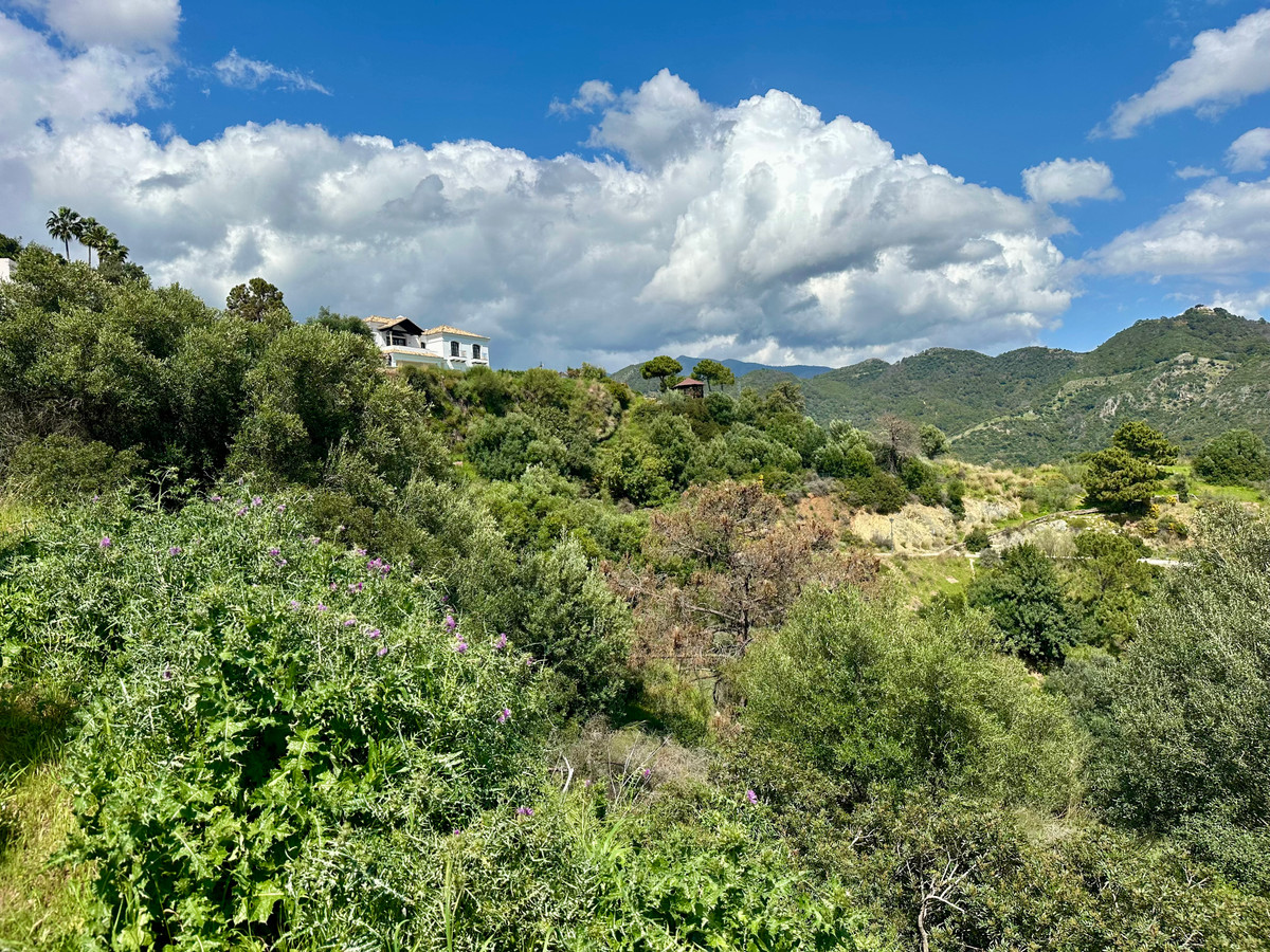 Property main view 16