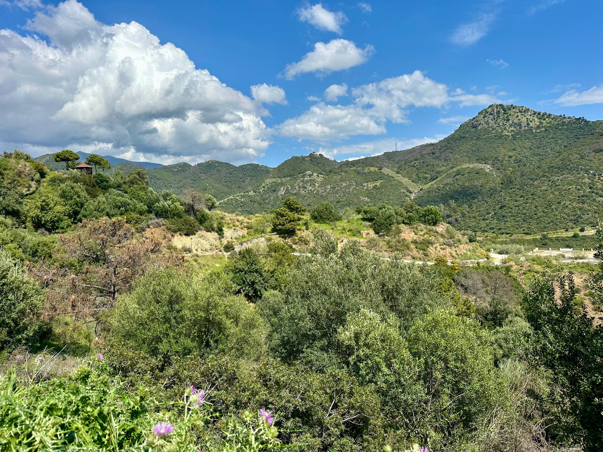 Property main view 17