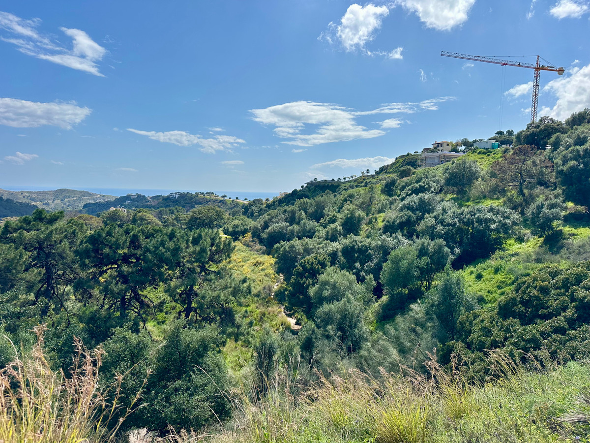 Property main view 19