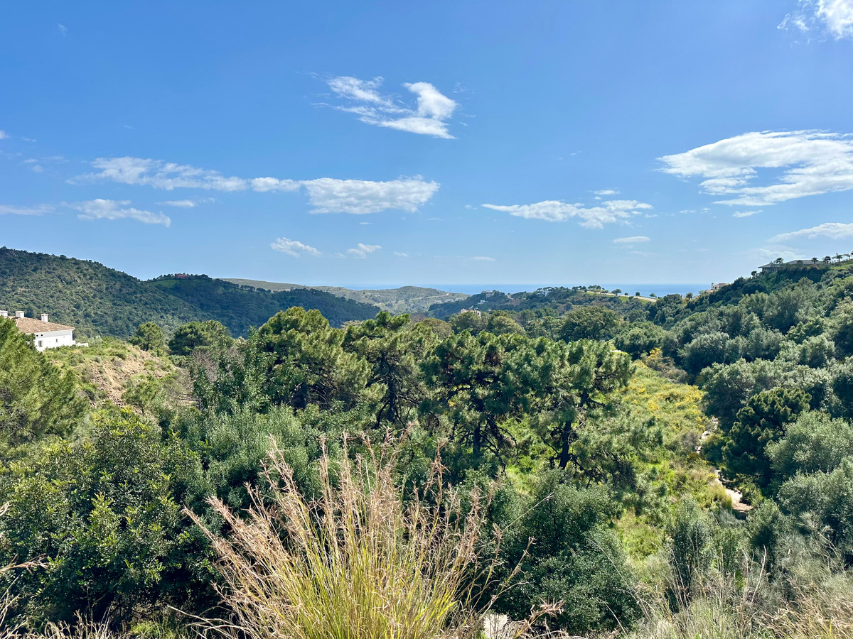 Property main view 20