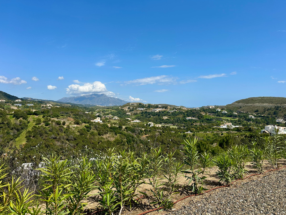 Property main view 24