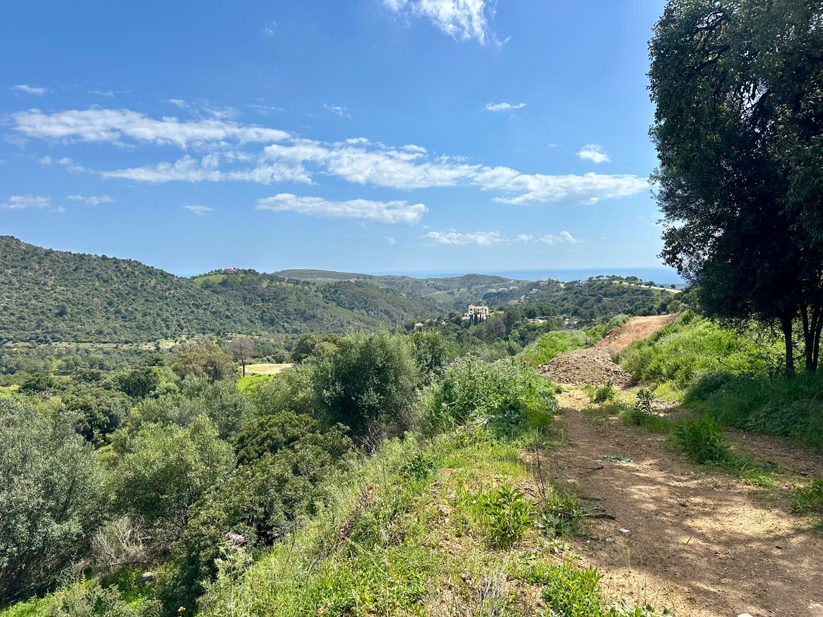 Property main view 5