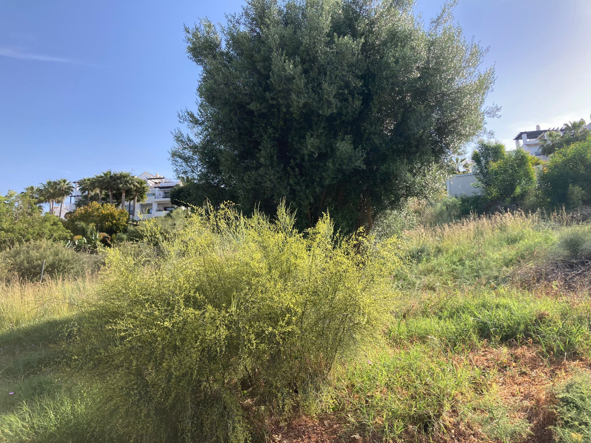 Grond te koop in Benahavís | 0 slaapkamers H5065903