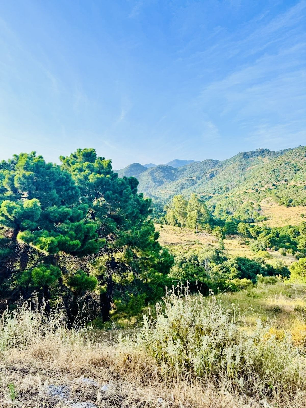 Property main view 5