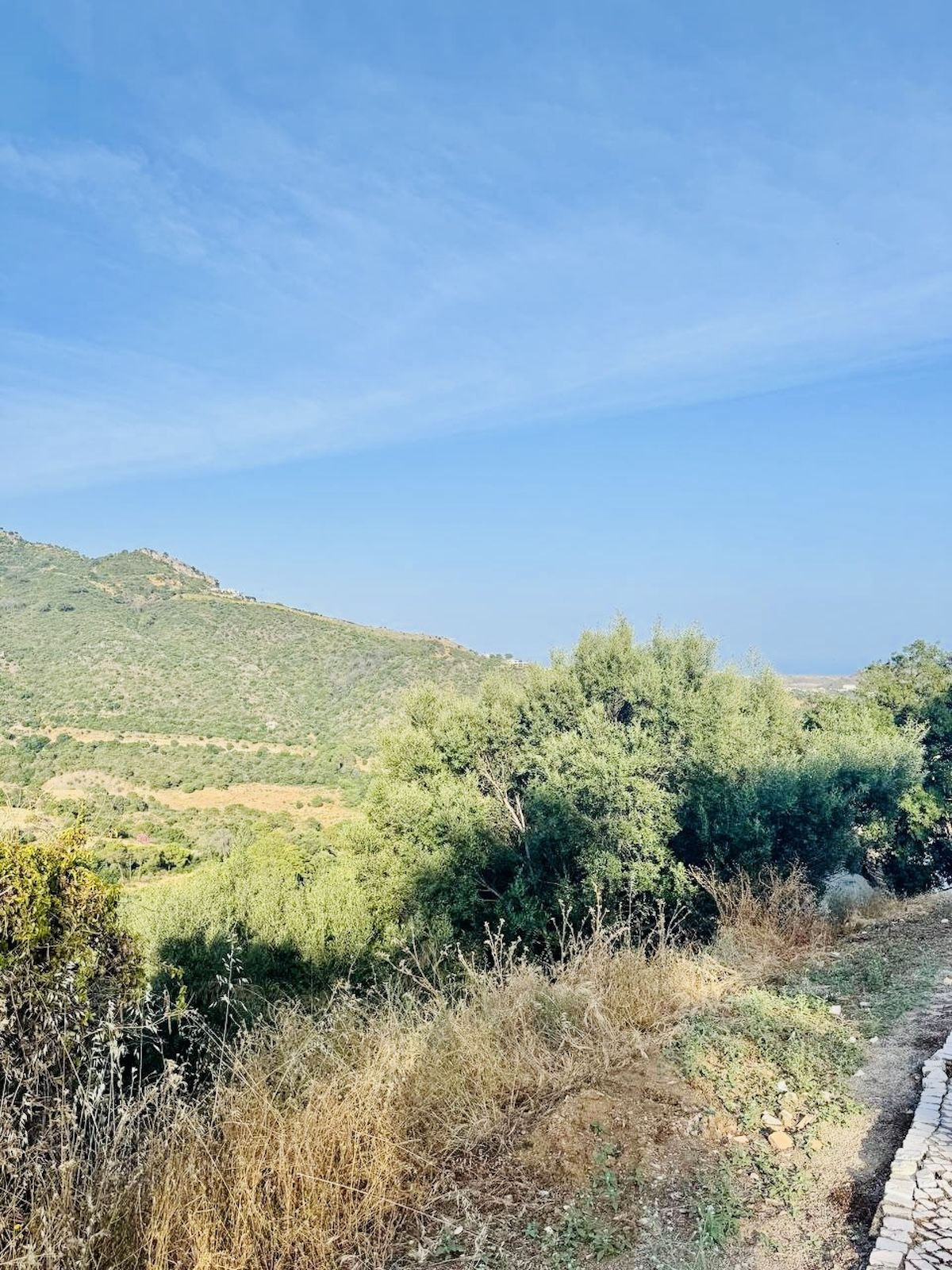 Property main view 6