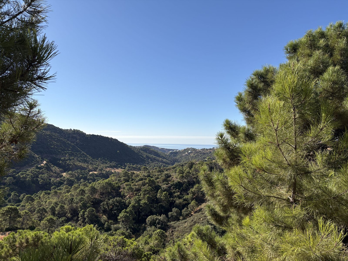 Property main view 6