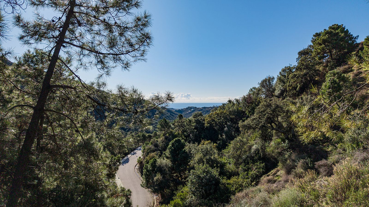 Property main view 13