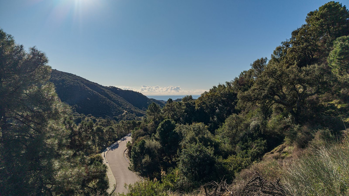 Property main view 18