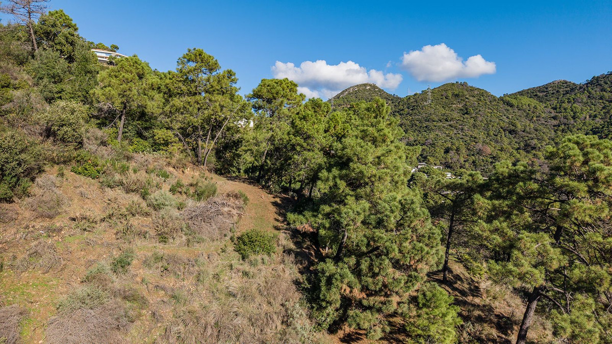 Property main view 19