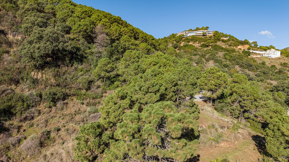 Property main view 20