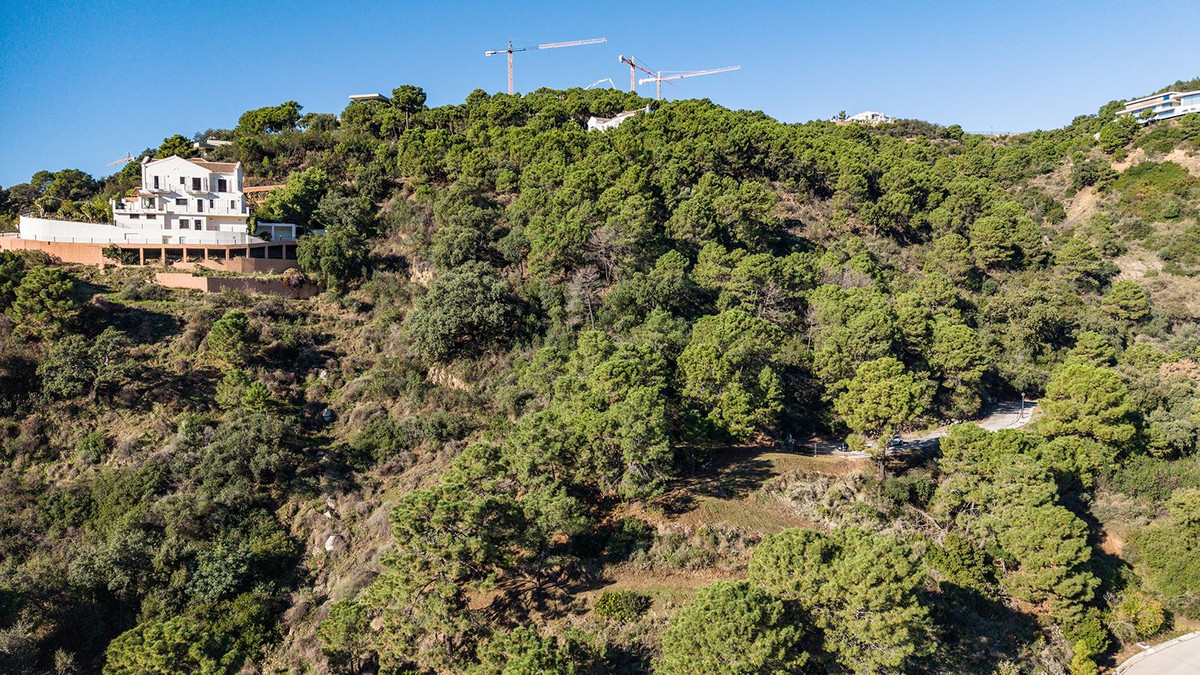 Property main view 21