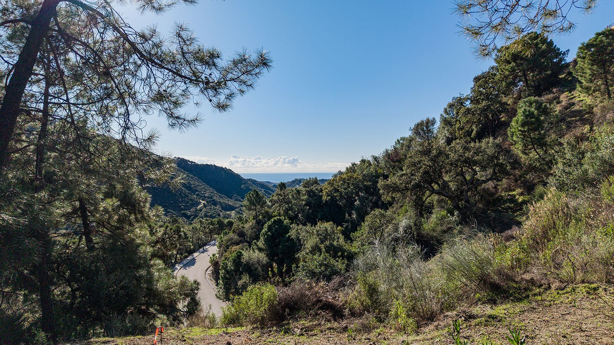 Property main view 3