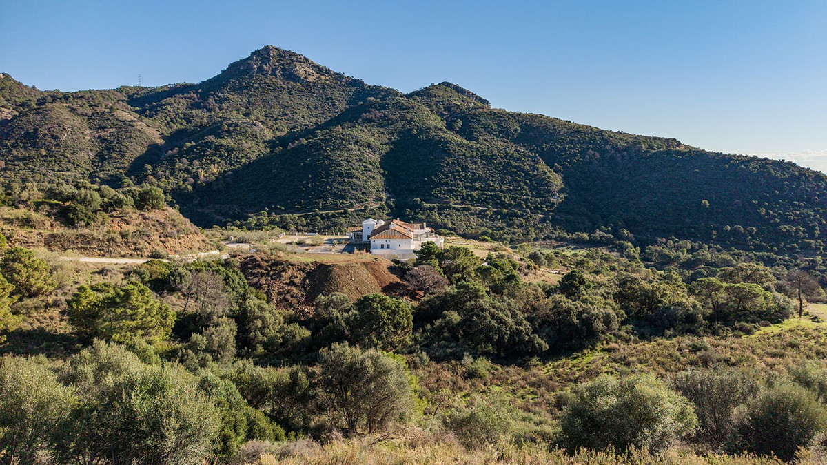 Property main view 11