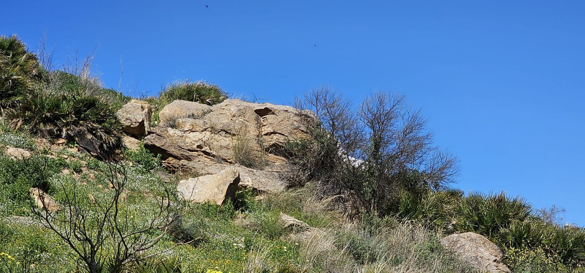 Percelen te koop in Benalmadena | 0 slaapkamers H5368186